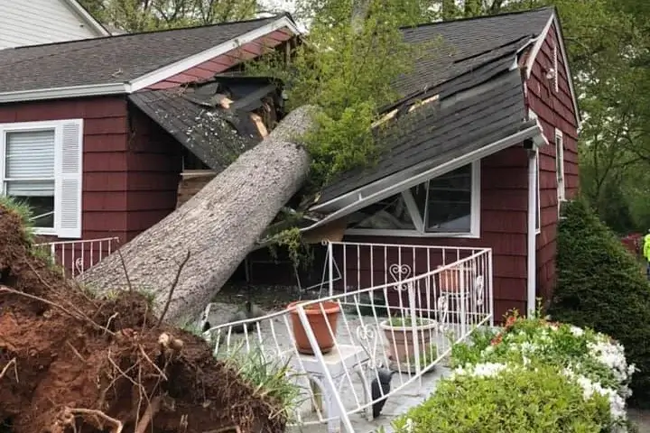 Large tree fallen on a red house roof after a storm, showing emergency tree damage response