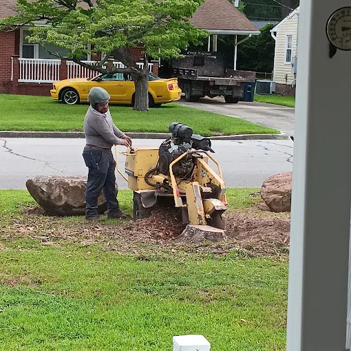 Ed's Tree Specialists grinding a stump at a Jacksonville, NC home