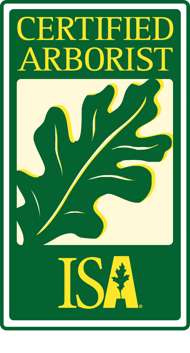 ISA Certified Arborist on staff badge