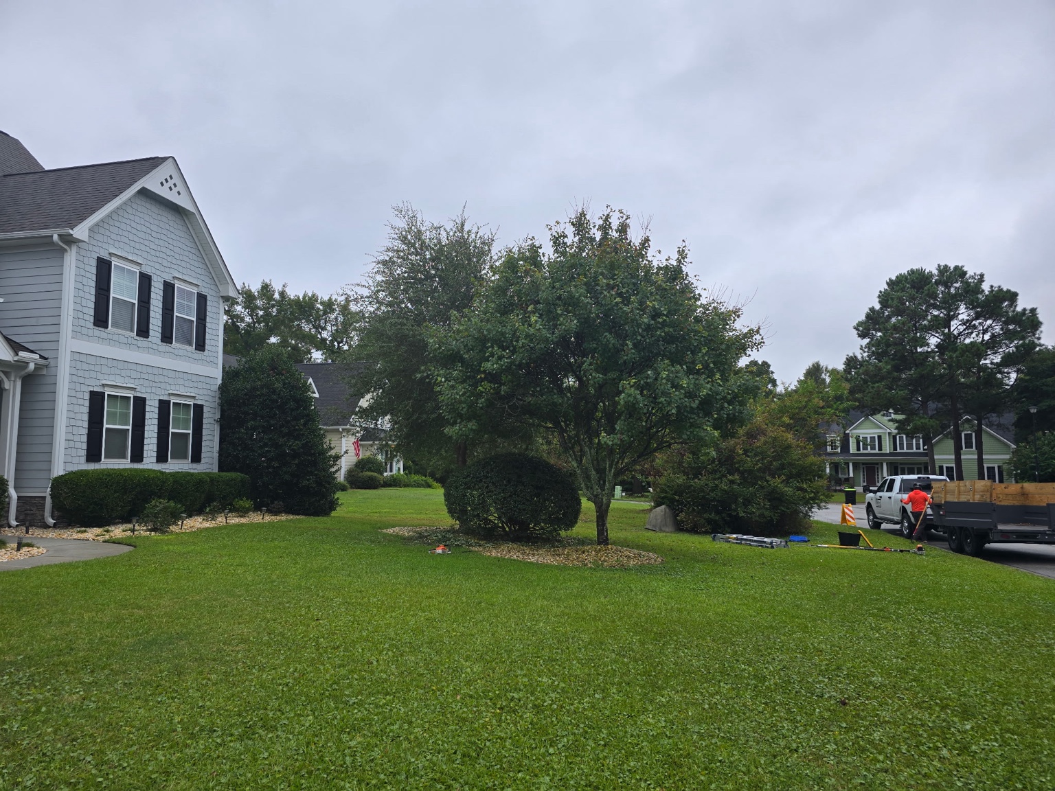 Neatly trimmed foundation shrubs and a shaped ornamental tree in a Jacksonville, NC front yard, with the crew truck parked at the curb