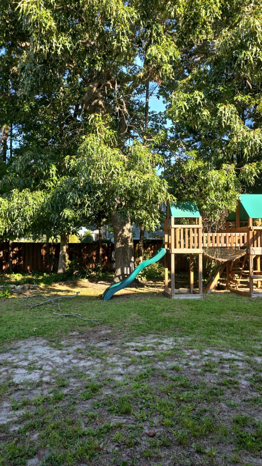 Large mature backyard tree beside a children's playset in Jacksonville, NC
